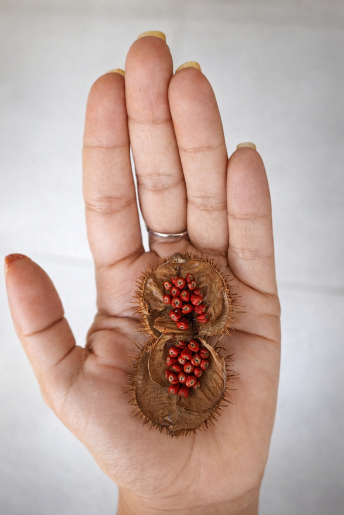 Carmen Caro investigando pigmentos desde prácticas artísticas no opresivas, regenerativas y del afecto