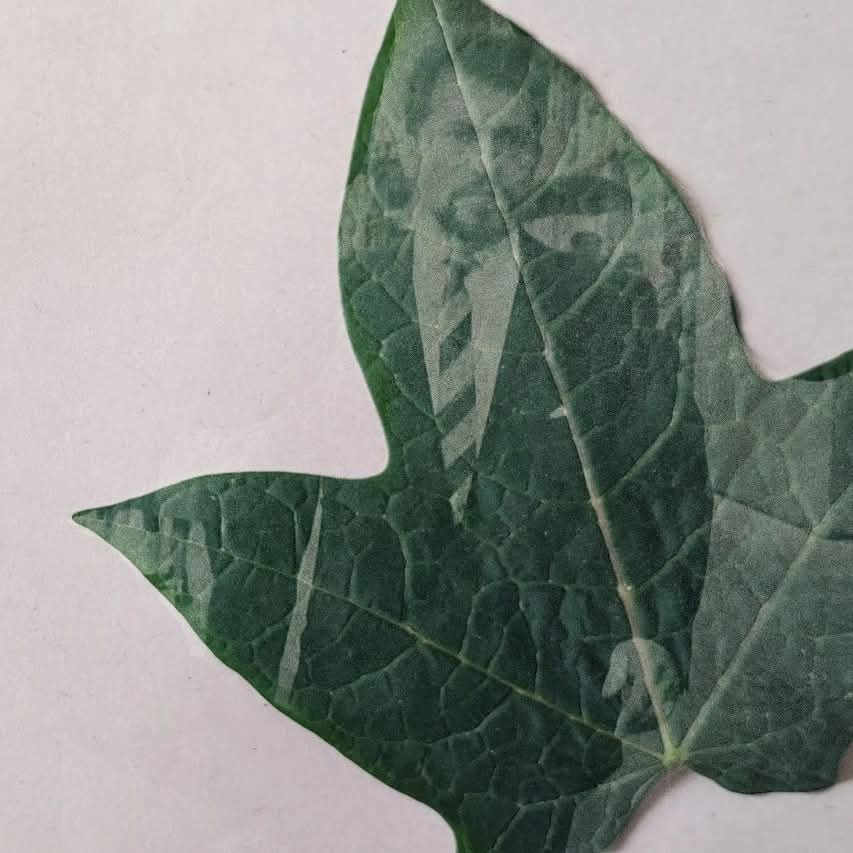 Carmen Caro investigando pigmentos desde prácticas artísticas no opresivas, regenerativas y del afecto