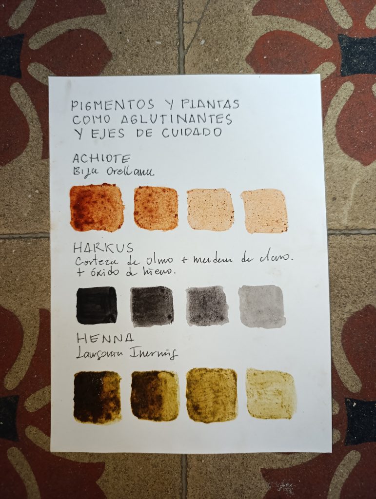 Carmen Caro investigando pigmentos desde prácticas artísticas no opresivas, regenerativas y del afecto