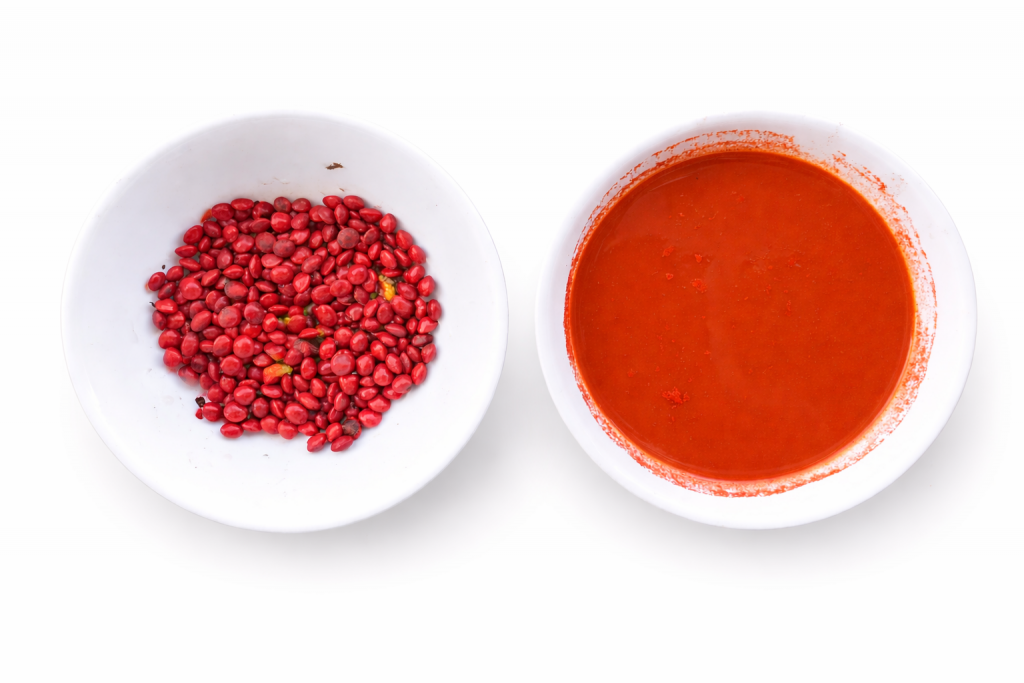 Carmen Caro investigando pigmentos desde prácticas artísticas no opresivas, regenerativas y del afecto